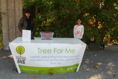 Tree for Me-Oct 14 2018