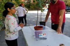 _Tree for Me_2 - Oct 14 2018