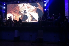 Mediterraneo Concert27- July 25 2015JPG