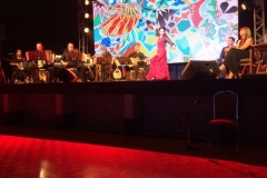 Mediterraneo Concert8 - July 25 2015JPG